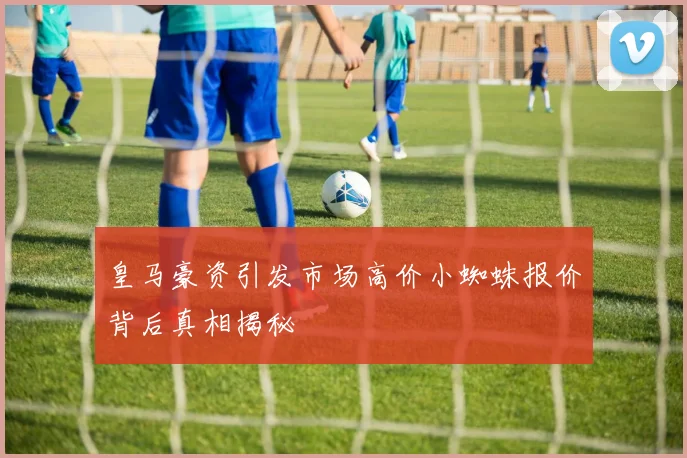 皇马豪资引发市场高价小蜘蛛报价背后真相揭秘